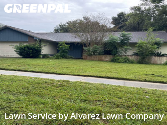 Lawn Servicein Altamonte Springs,32701,Lawn Cut by Alvarez Lawn Company, work completed in Nov , 2025