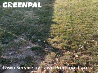 Yard Mowing nearby Bellevue, NE, 