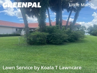 Lawn Cutting nearby Jacksonville, FL, 
