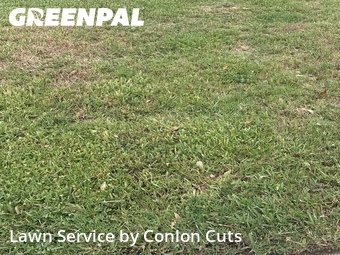 Lawn Mowing Service nearby Palmetto, FL, 