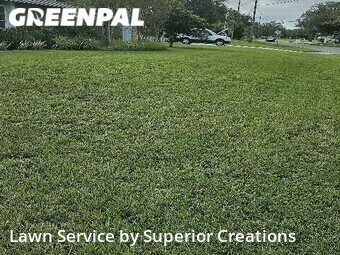 Grass Cutting nearby Spring Hill, FL, 