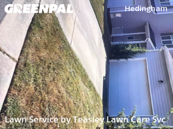 Lawn Maintenance nearby Raleigh, NC, 