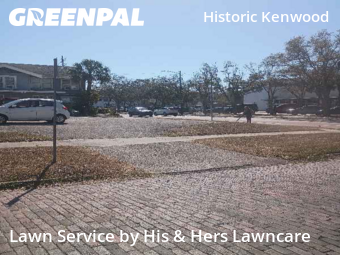 Yard Mowing nearby St. Petersburg, FL, 