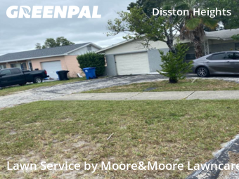 Lawn Care Service nearby St. Petersburg, FL, 