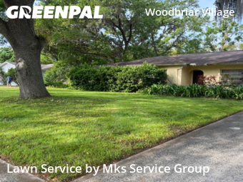 Lawn Cutting nearby Tampa, FL, 