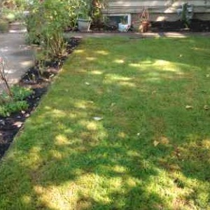 affordable-lawn-services-in-Hillsboro-OR