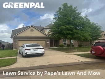 Grass Cut nearby Rosenberg, TX, 