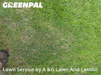 Lawn Mowing nearby Cincinnati, OH, 