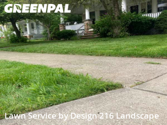 Grass Cut nearby Lakewood, OH, 