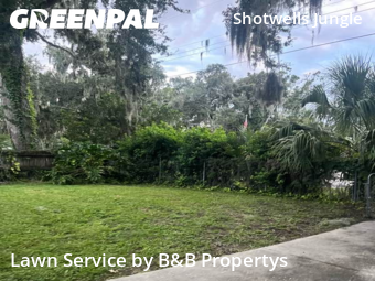 Yard Cutting nearby Daytona Beach, FL, 