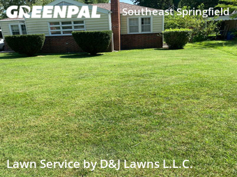 Yard Cutting nearby Springfield, MO, 