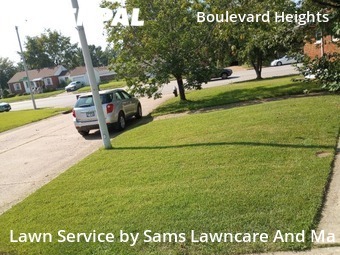 Lawn Mow nearby St. Louis, IL, 