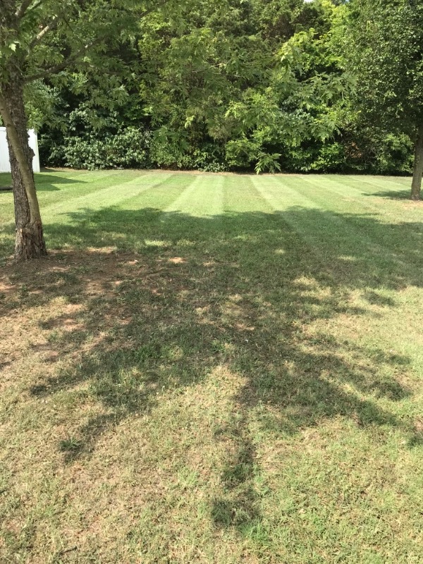 Smithson’s Lawn Care Lawn Care Services in Humboldt , TN