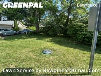 Grass Cutting nearby Indianapolis, IN, 
