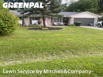 Lawn Mow nearby Macomb, MI, 