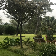 lawn-maintenance-in-Manor-TX