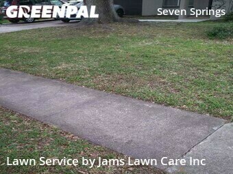 Lawn Care Service nearby New Port Richey, FL, 