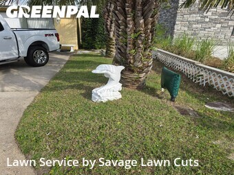 Grass Cut nearby Panama City Beach, FL, 