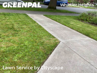 Lawn Mow nearby Seattle, WA, 