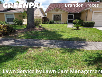 Grass Cut nearby Brandon, FL, 