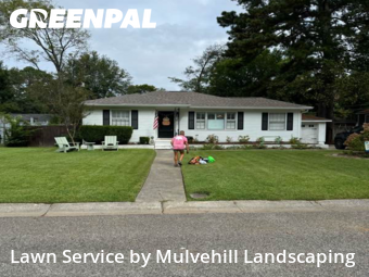 Lawn Management in Homewood, 35209, Lawn Care by Mulvehill Landscaping, work completed in Nov , 2025