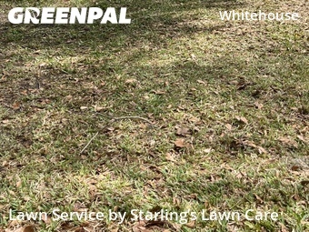 Lawn Maintenance nearby Jacksonville, FL, 