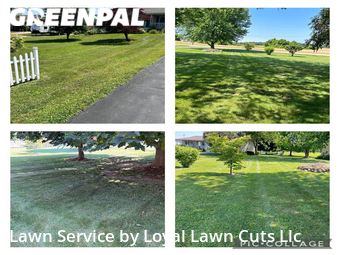 Yard Cutting nearby Vermilion, OH, 