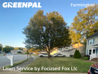 Yard Cutting nearby Hampton, VA, 