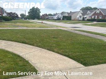 Lawn Cut nearby Parma, OH, 