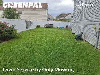 Grass Cutting nearby Albany, NY, 