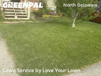 Lawn mowed in Buffalo, 14207