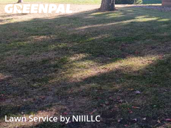 Lawn Management in Norton Shores, 49441, Lawn Management by NIIILLC, work completed in Nov , 2025