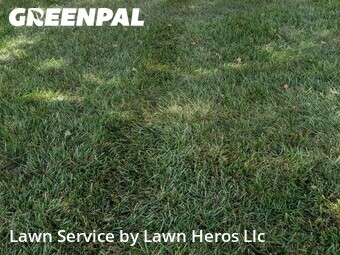 Lawn Care nearby Randleman, NC, 