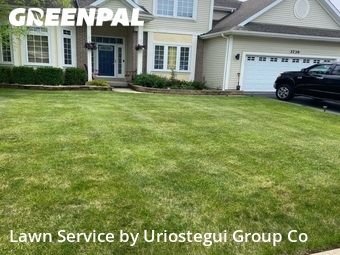 Lawn Mow nearby Winthrop Harbor, IL, 