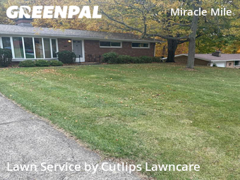 Lawn Mowing nearby Springfield, OH, 