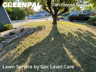 Lawn Care nearby Sacramento, CA, 