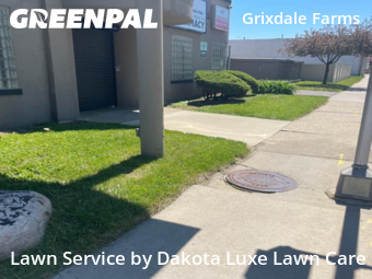 Lawn Cut nearby Detroit, MI, 