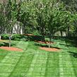 grass-cutting-businesses-in-Dale City-VA