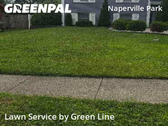 Lawn Maintenance nearby Naperville, IL, 