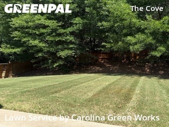Yard Mowing nearby Raleigh, NC, 