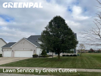 Grass Cut nearby Westfield, IN, 