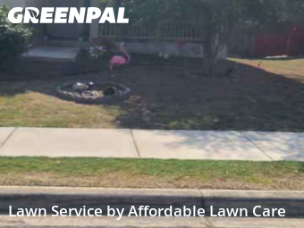 Lawn Maintenancein Cibolo,78108,Lawn Cutting by Affordable Lawn Care, work completed in Nov , 2025