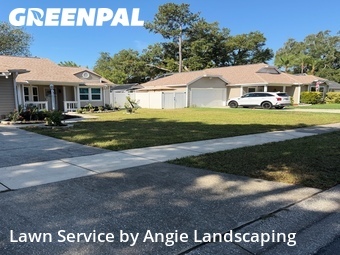 Lawn Mow nearby Palm Harbor, FL, 