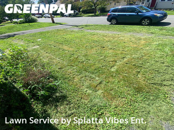Lawn Cut nearby Fairfield, CT, 