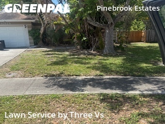 Lawn Mow nearby Largo, FL, 