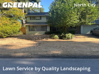 Lawn Work in Shoreline, 98155, Turf Services by Quality Landscaping, work completed in Nov , 2025
