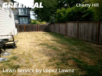 Lawn Mow nearby Seattle, WA, 