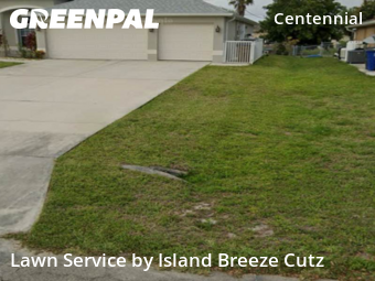 Yard Cutting nearby Lehigh Acres, FL, 