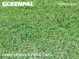 Lawn Service nearby St. Petersburg, FL, 