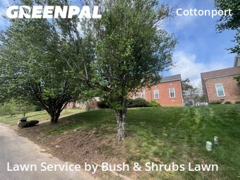 Work completed by residential-lawn-cutting-businesses-in-Brentwood-CA